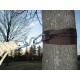 HAMMOCK STRAPS FOR TREES VIVERE from the Hammock Shop of Americas